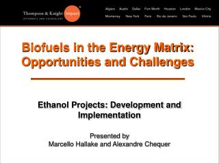 Biofuels in the Energy Matrix: Opportunities and Challenges