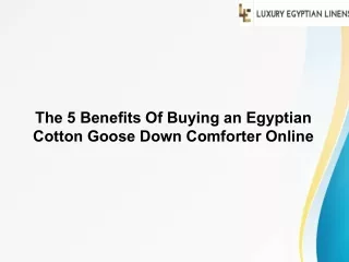 The 5 Benefits Of Buying an Egyptian Cotton Goose Down Comforter Online