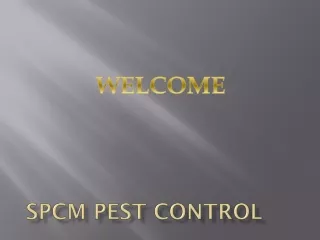 Best Pest rat Control Service in Jurong East