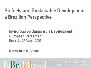 Biofuels and Sustainable Development: a Brazilian Perspective