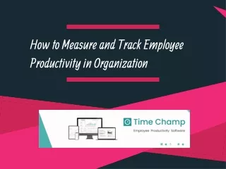 How to Measure and Track Employee Productivity in Organization