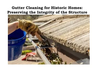 Regal Gutter Cleaning Ballarat - Roof Gutter Cleaner
