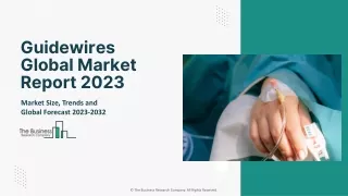 Guidewires Market