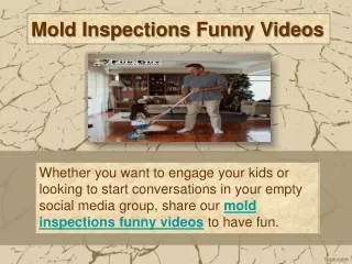 Mold Inspection Funny Videos