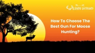 How To Choose The Best Gun For Moose Hunting