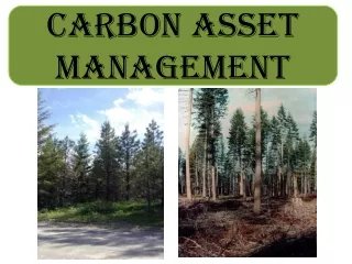 Carbon Asset Management