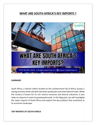 WHAT ARE SOUTH AFRICA’S KEY IMPORTS ?