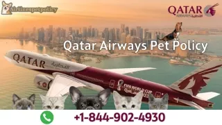 QatarAirwaysPetPolicy