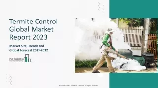Termite Control Market Outlook, Opportunities And Strategies 2023-2032