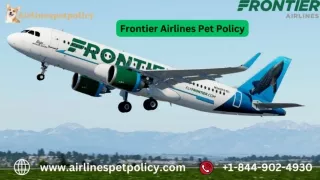 How do you travel with a dog on a plane Frontier?