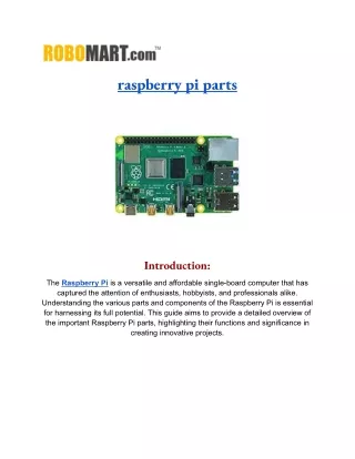 A Comprehensive Guide to Raspberry Pi Parts and Components