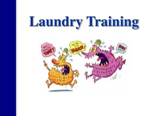 Laundry Training