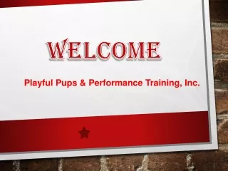 Dog training in Virginia Beach - Playful Pups & Performance Training, Inc.