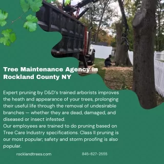 Tree Maintenance Agency in Rockland County NY