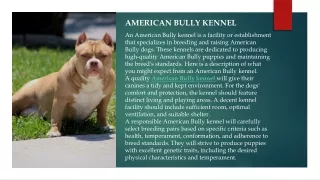 American bully kennel