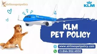 What is the pet policy of KLM?