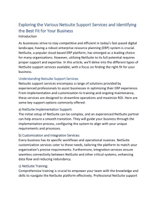 The Different Types of Netsuite Support Services and Which Ones Your Business Needs