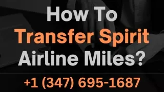 How To Transfer Spirit Airline Miles