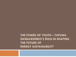 The Power of Youth – Tapuwa Dangarembizi’s Role in Shaping the Future of Energy Sustainability