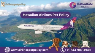 Hawaiian Airlines Pet Policy: Everything You Need to Know