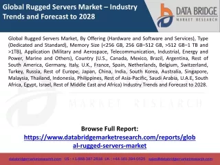 Global Rugged Servers Market