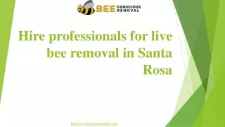 Hire professionals for live bee removal in Santa