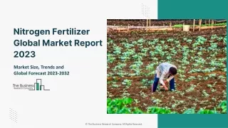 Nitrogen Fertilizer Market Report 2023 | Insights, Analysis, And Forecast 2032