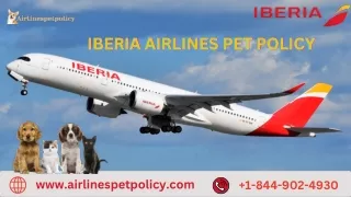 Iberia Airlines Pet Policy - Fly Your Dog or Cat Safely