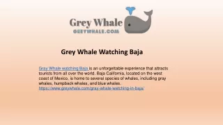 Experience Whale Watching in Baja California