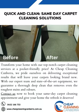 Quick And Clean Same Day Carpet Cleaning Solutions