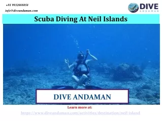 Best Scuba Diving At Neil Island