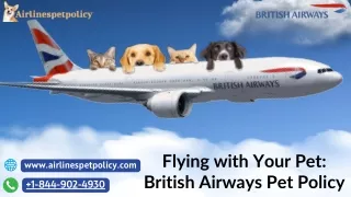 Do British Airways have a pet policy?