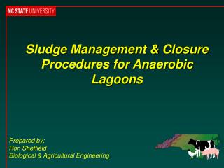 Sludge Management &amp; Closure Procedures for Anaerobic Lagoons
