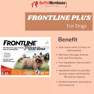 Frontline Plus For Dogs