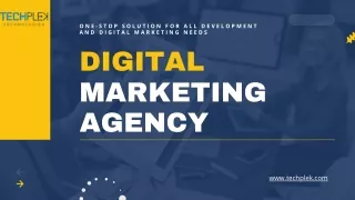 TechPlek Creative Digital Marketing Agency in Delhi