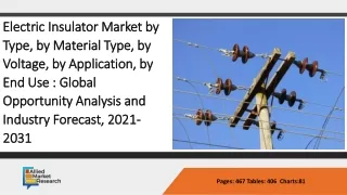 Electric Insulator Market