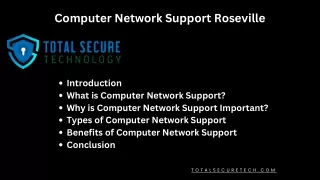 Computer Network Support Roseville