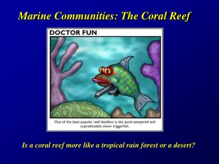 Marine Communities: The Coral Reef