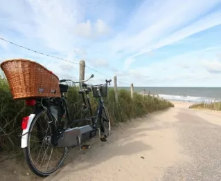 Fietsvakantie Noord Holland - Campanula