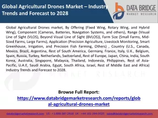 Global Agricultural Drones market