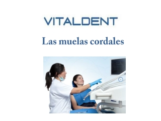 Vital dent Palencia; muelas cordales