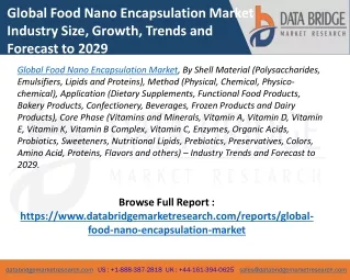 Global Food Nano Encapsulation Market