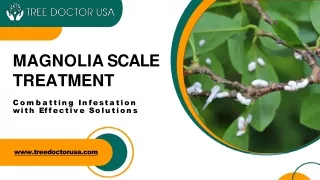 Magnolia Scale Treatment Combatting Infestation with Effective Solutions