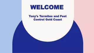 Best Termite Barriers in Neranwood