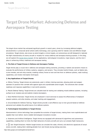 Target Drone Market