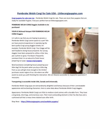 Corgi puppies for sale near me