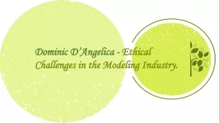 Ethical Challenges in the Modeling Industry