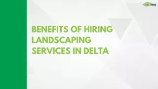 Benefits of Hiring Landscaping Services in Delta