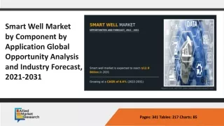 Smart Well Market _PPT -