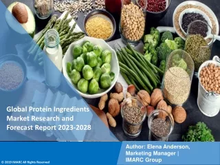 Protein Ingredients Market Research and Forecast Report 2023-2028